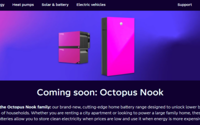Octopus Nook: Every Question Answered About the UK Plug-In Battery for Renters and Homeowners
